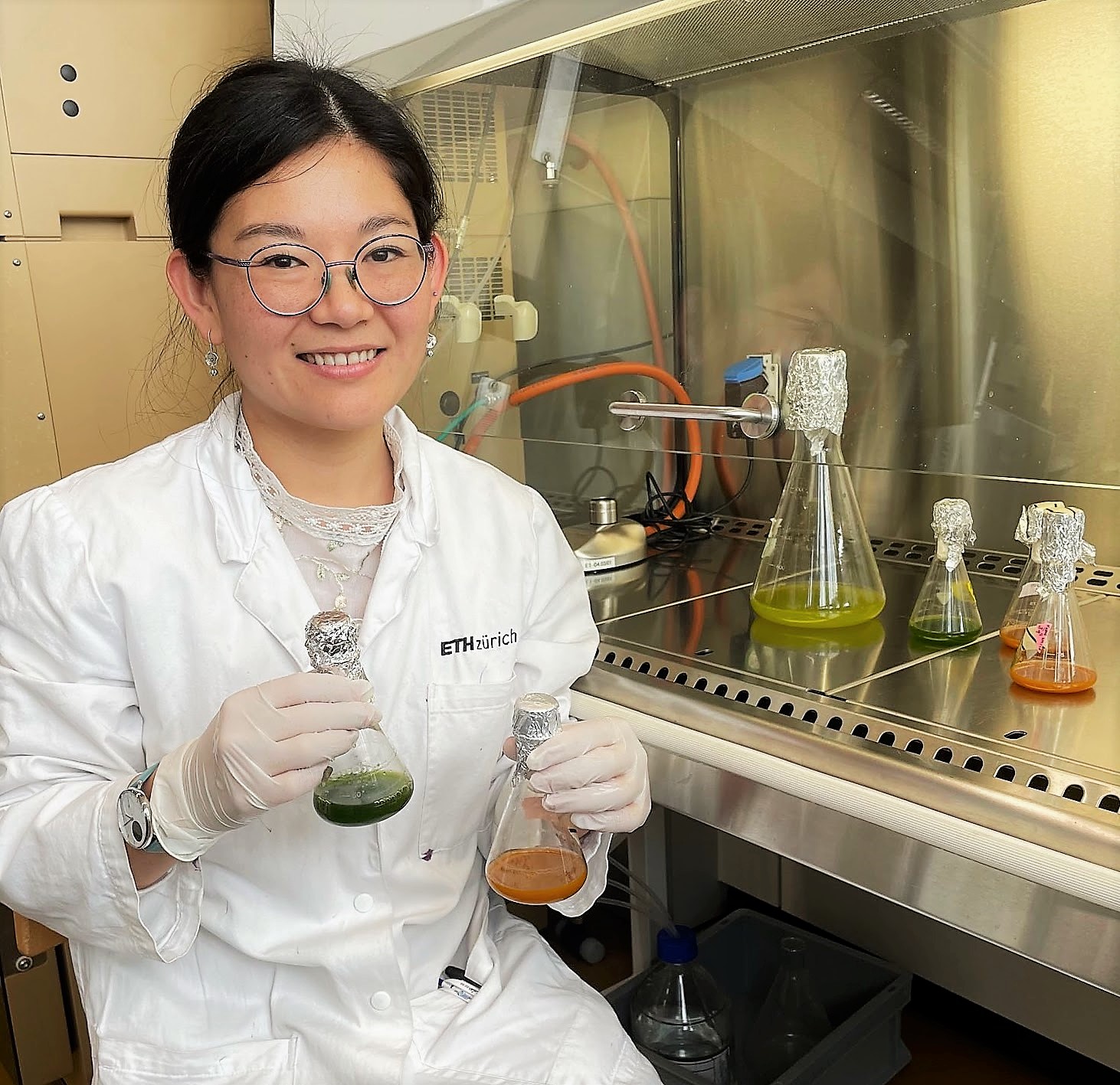 Enlarged view: Naomi Arita Merino cultivating different microalgae from the genus Dunaliella (Photograph: Xinyi Chen)