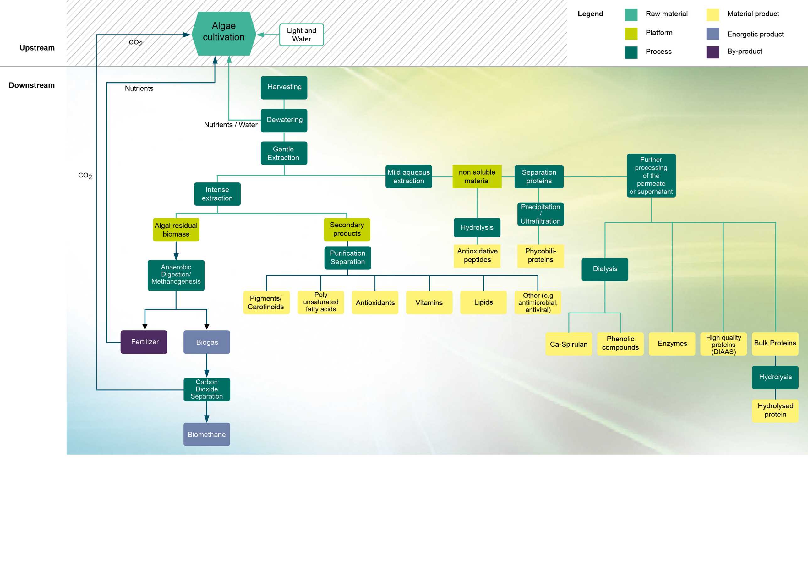 Enlarged view: Microalgae Biorefinery