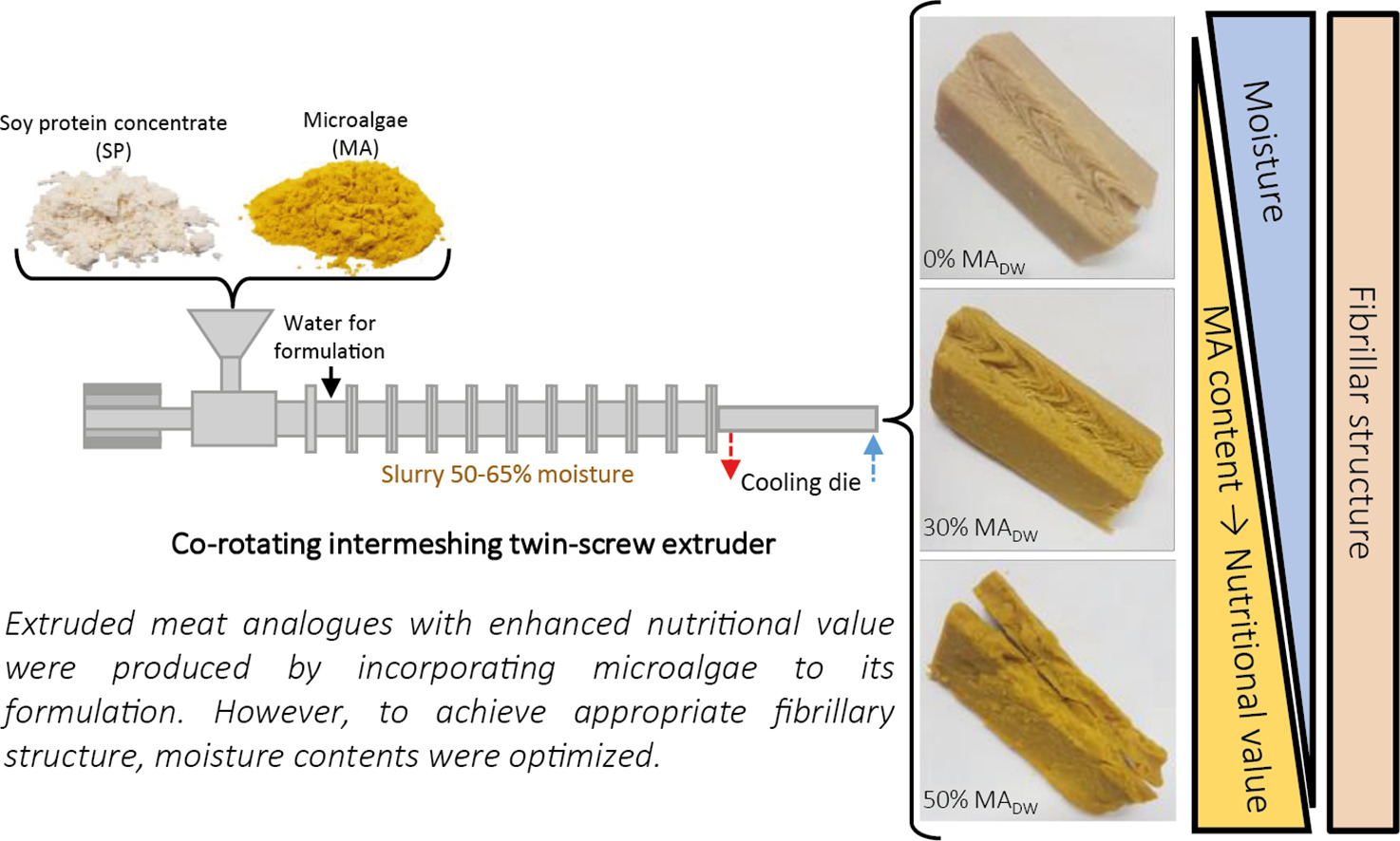 Enlarged view: Algae protein extrusion and meat analogues