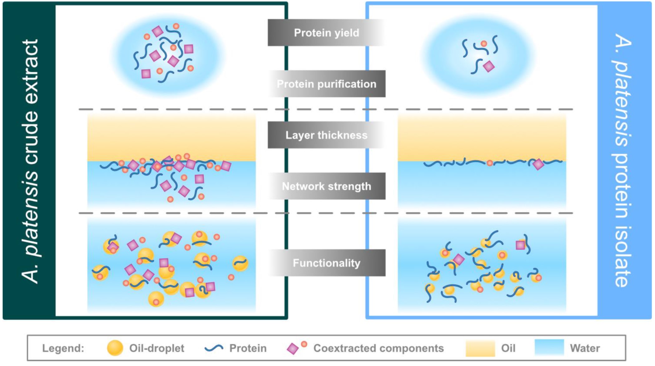 Enlarged view: Algae Techno Functional