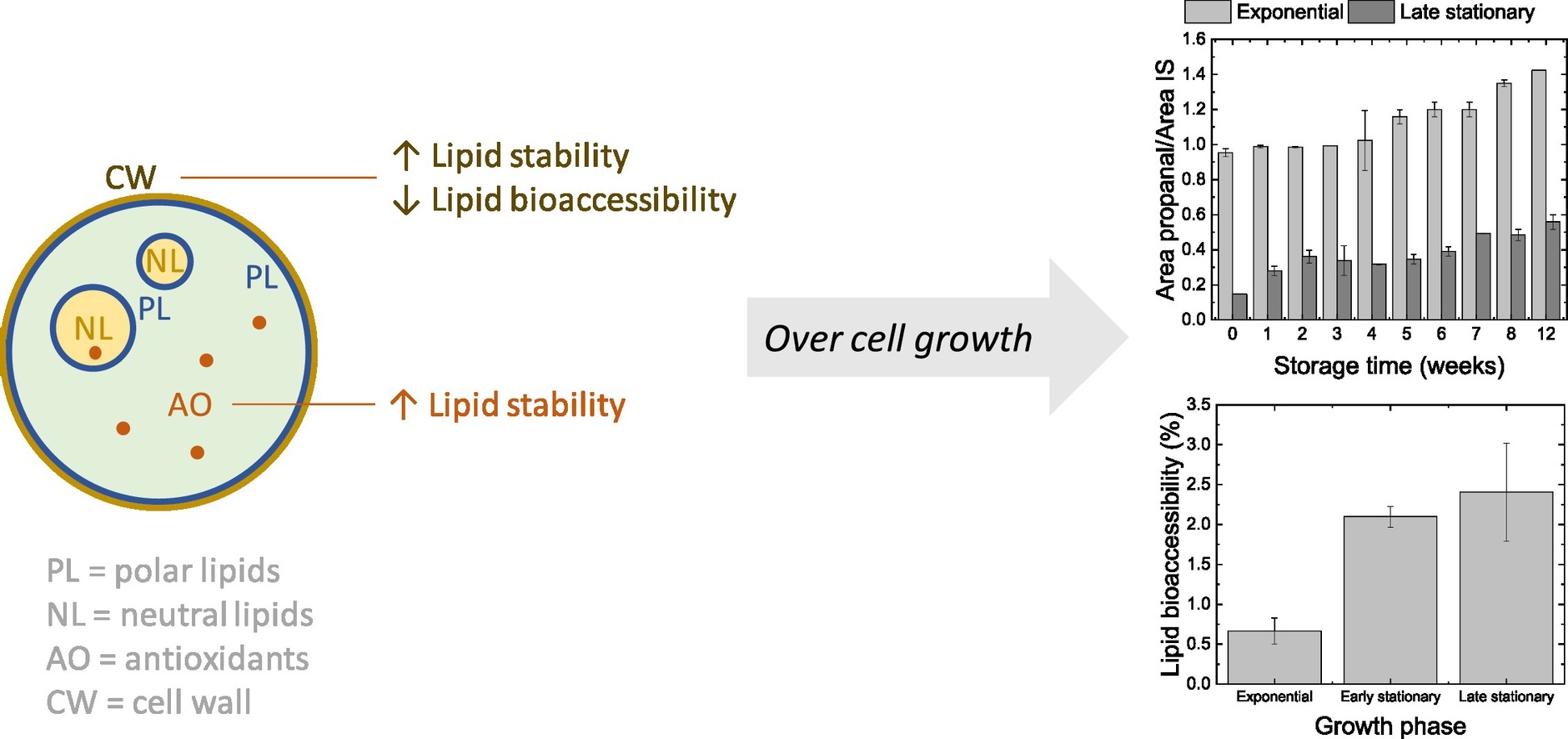 Enlarged view: Chlorella lipids