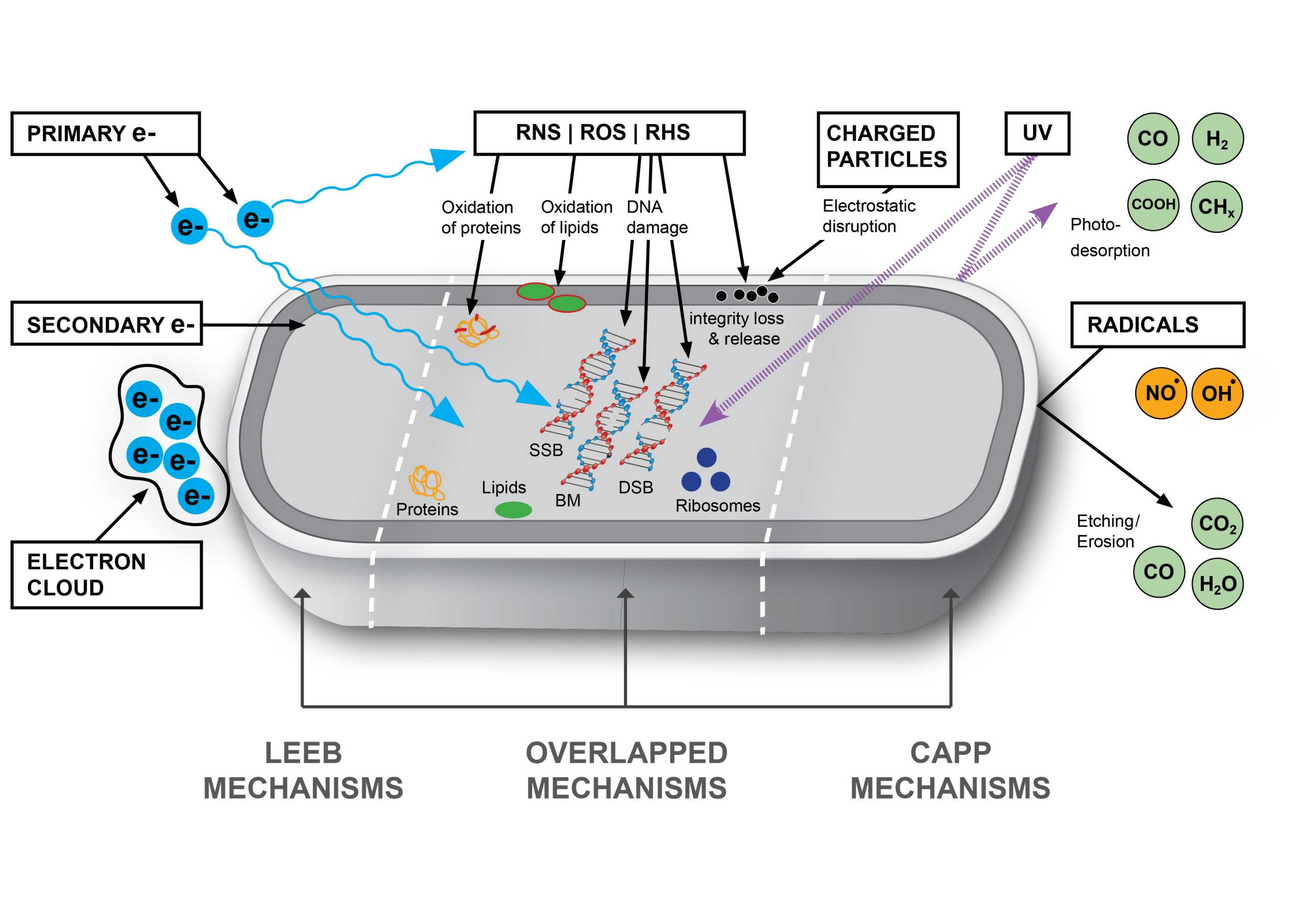 Enlarged view: Cold atmospheric pressure plasma and low energy electron beam